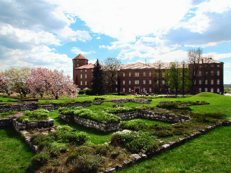 Pologne Voyage Arts et vie Cracovie château de Wawel 