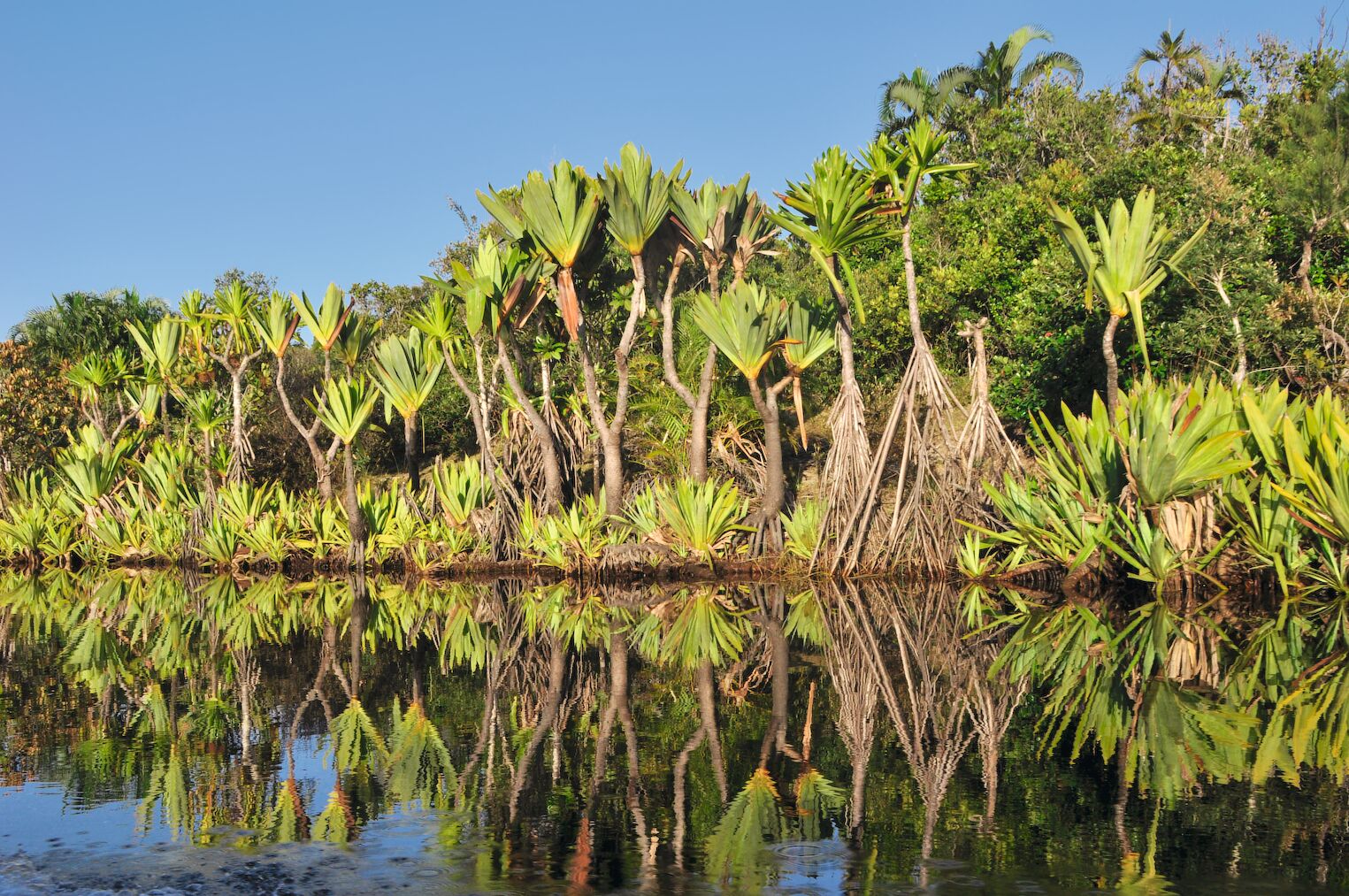 Le canal des Pangalanes, à Madagascar tourisme durable contribution carbone