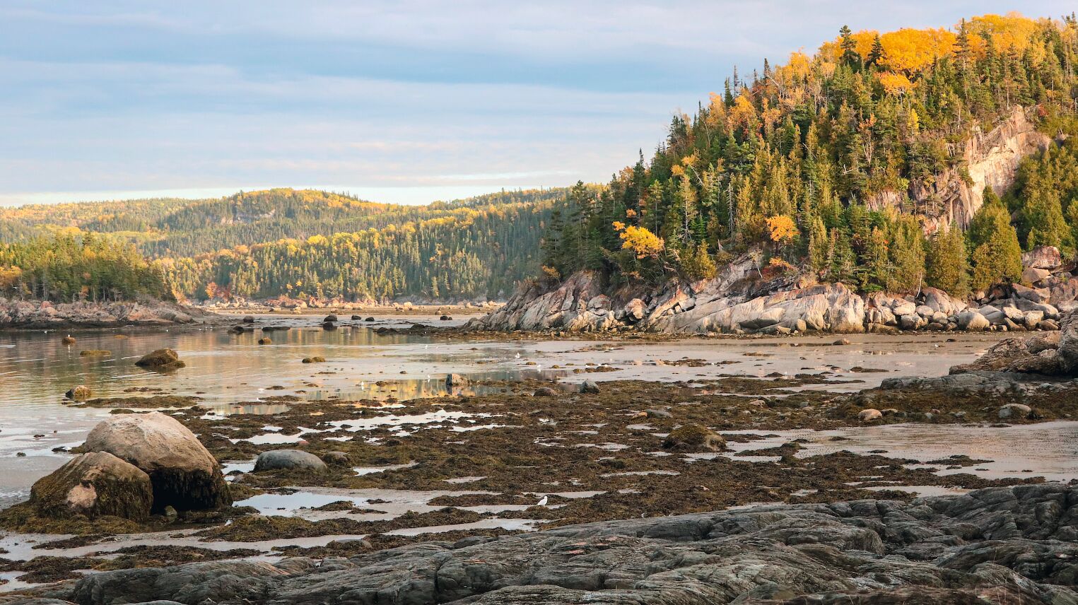 Le parc national de Bic