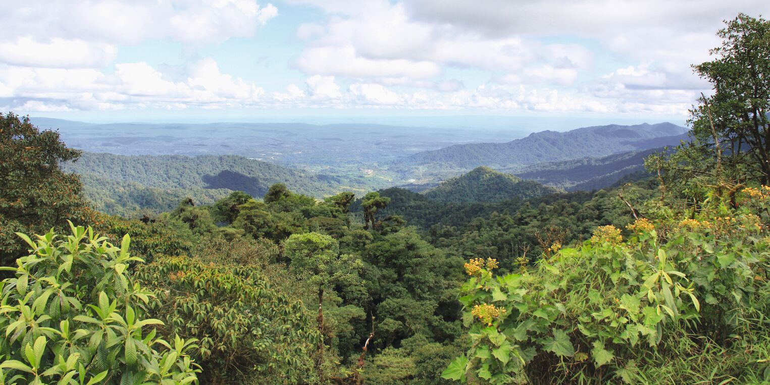 La forêt amazonienne en Équateur tourisme durable