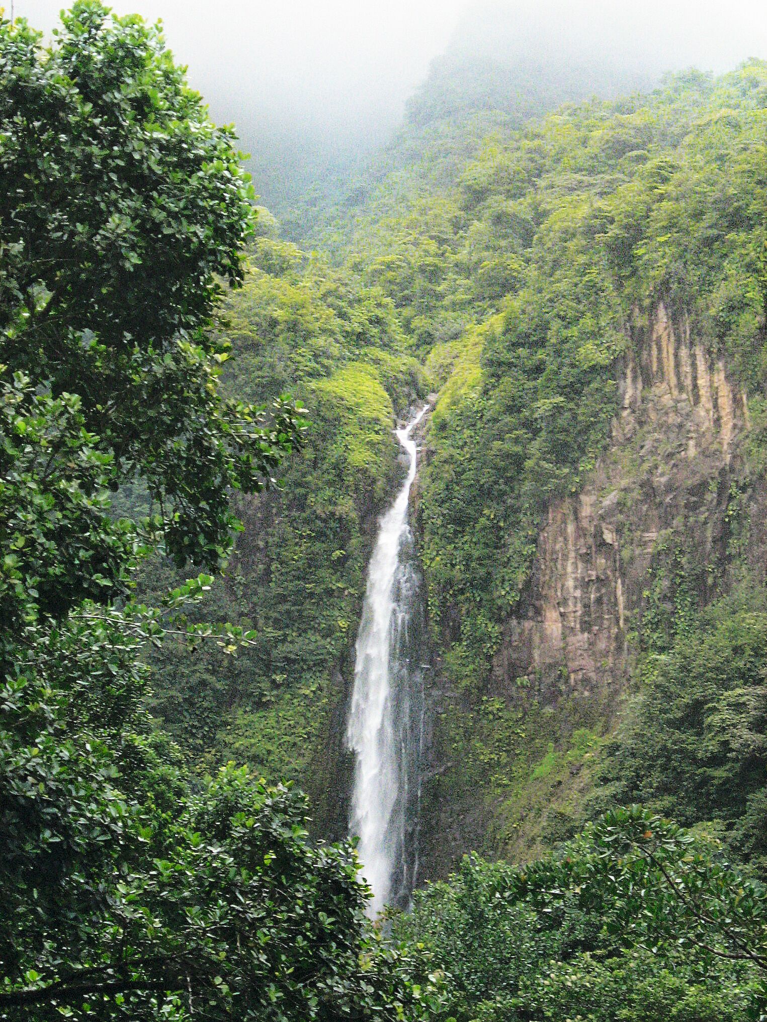 Les chutes du Carbet, dans le parc national de Guadeloupe
Arts et Vie voyages culturels